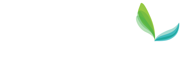 Brooklyn Health Physical Therapy